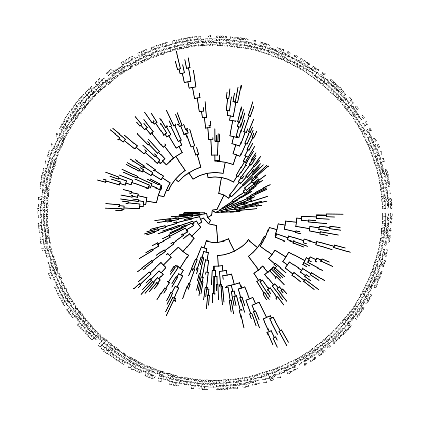 Circular layout with labels