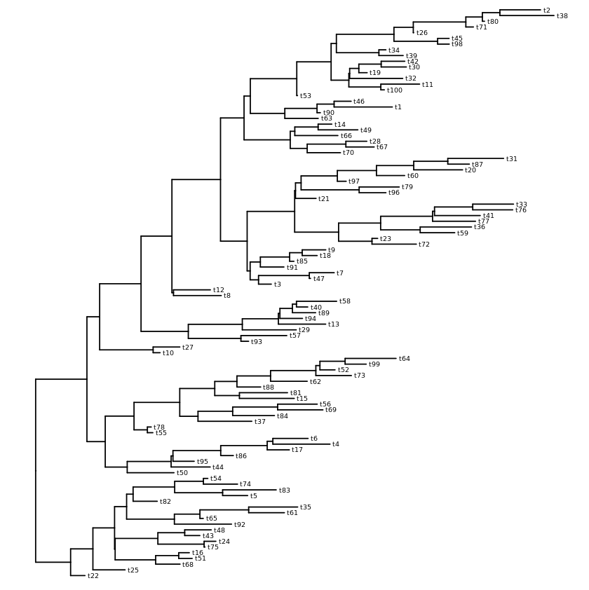 rectangular layout with labels