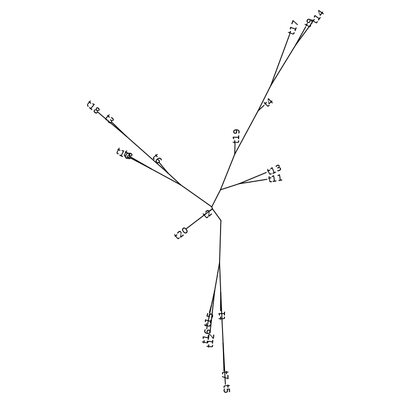 equal angle layout with labels