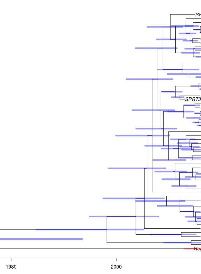 timed phylogeny timed phylogeny