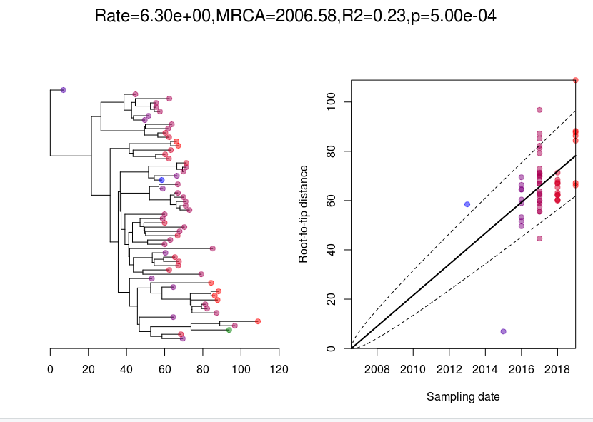 timed phylogeny timed phylogeny
